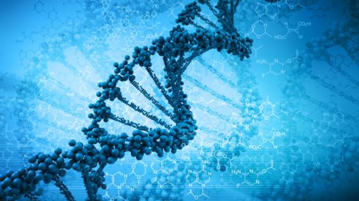 Scientists debate boundaries, ethics of human gene editing