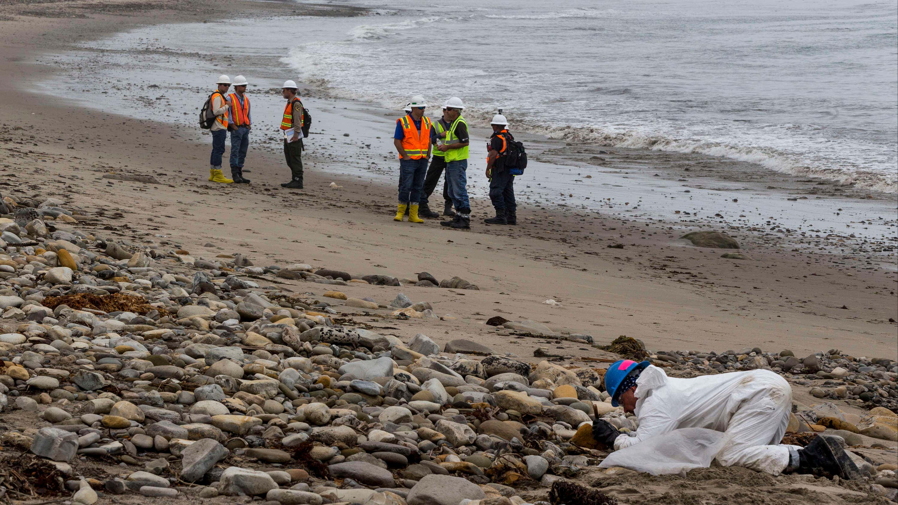 California Oil Spill Cleanup Costs Reaches 62m Fox News