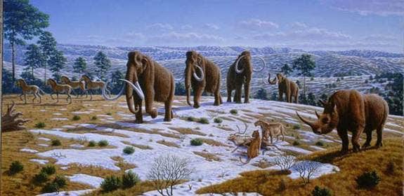 Mammoths wiped out by multiple killers | Fox News