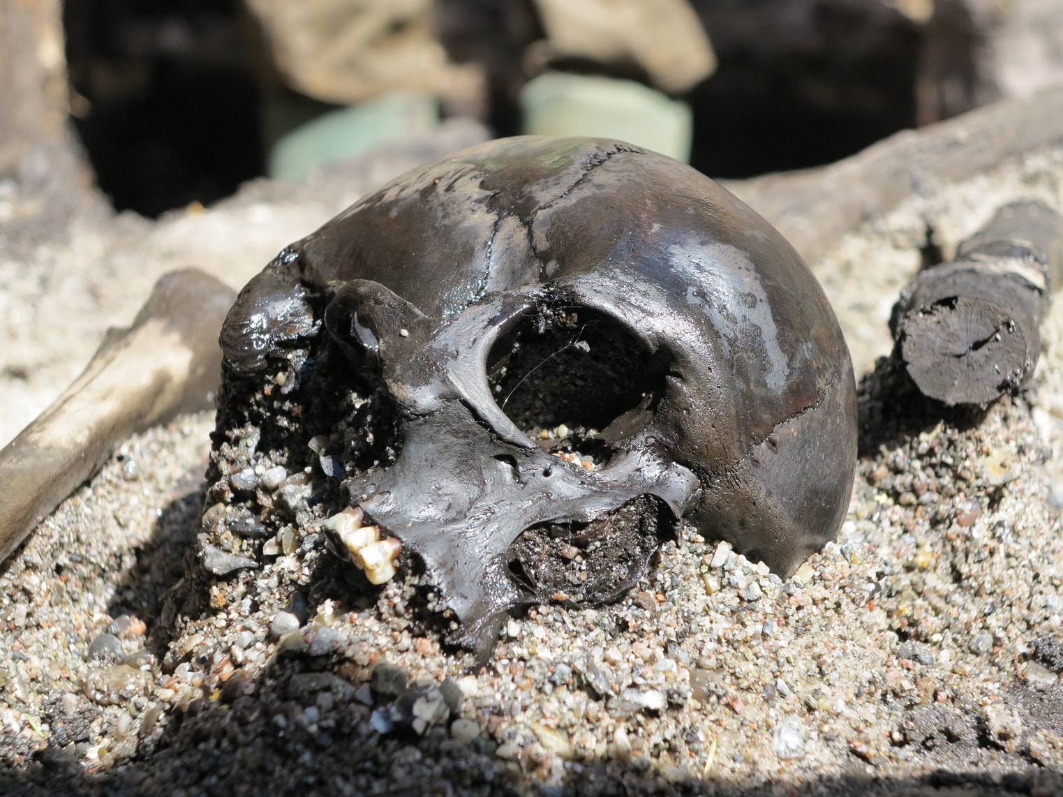 Thousands of human bones discovered in Denmark reveal gruesome 'barbarian' war rituals