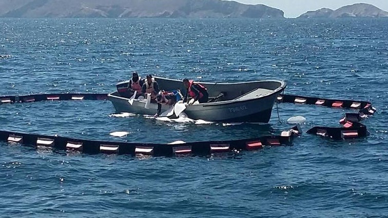 Good Samaritans help rescue 26 people from sinking ship | Fox News