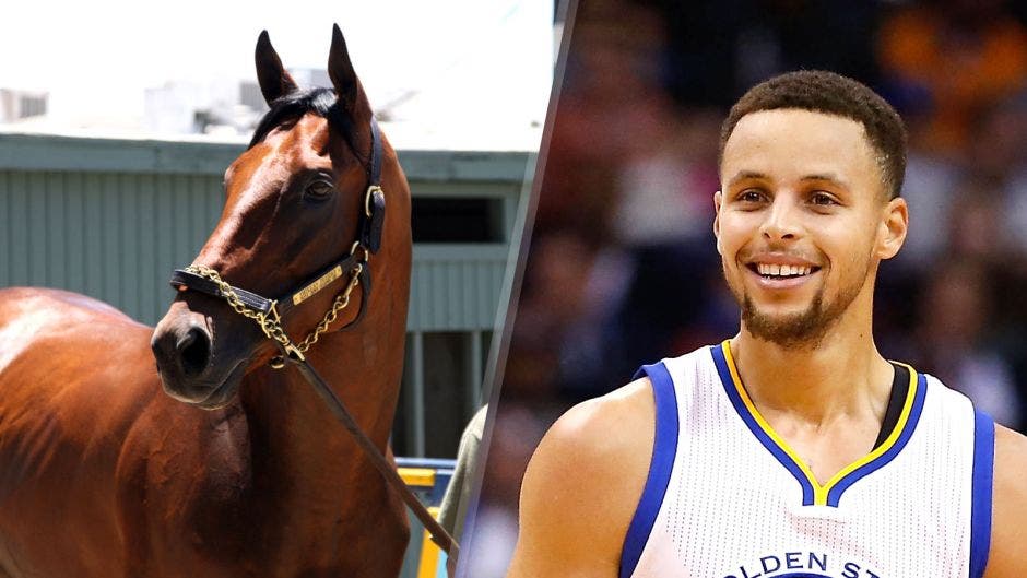 Are horses athletes? Steph Curry wins duel with American Pharoah for