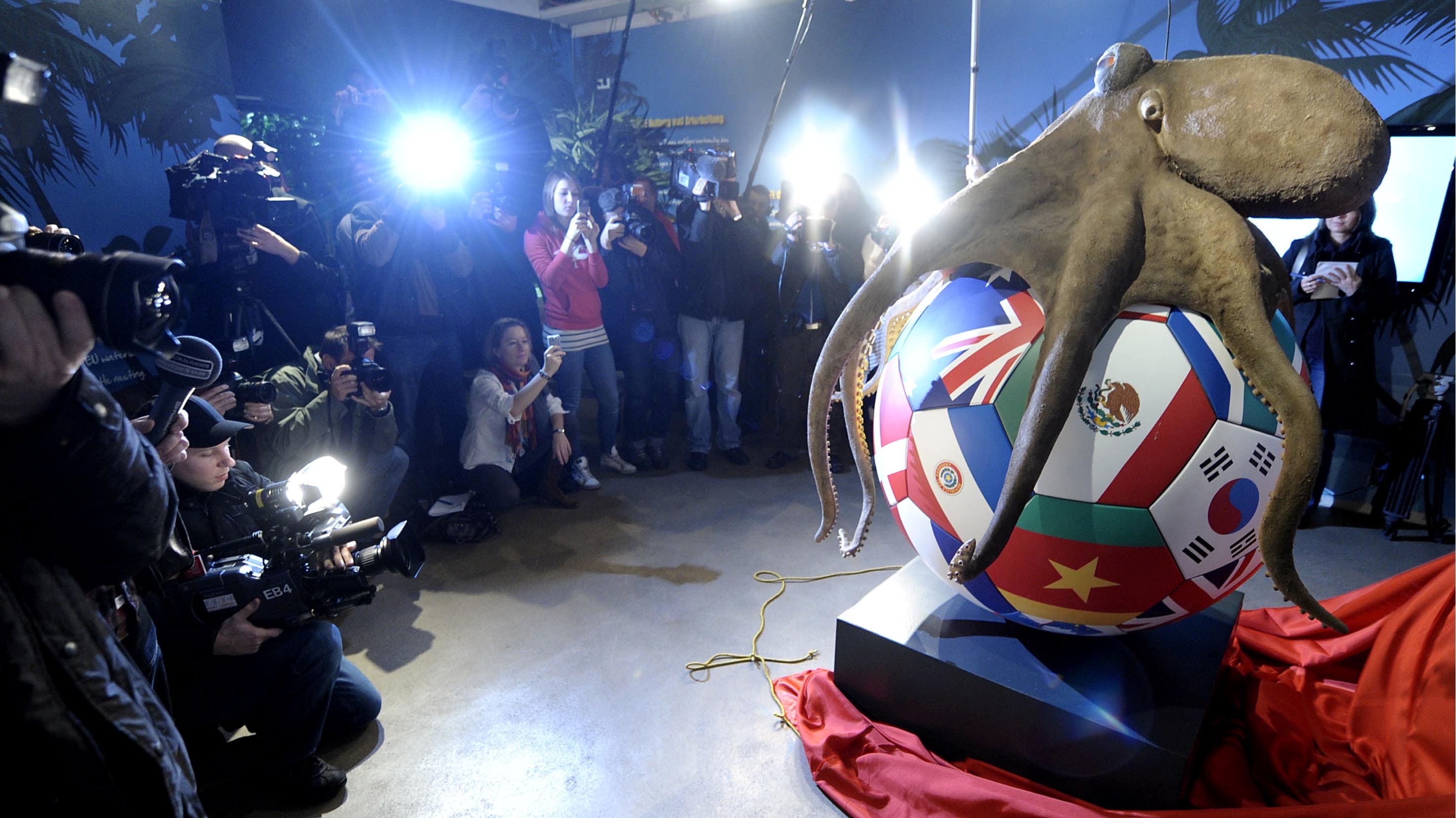 Paul, The World Cup "Psychic Octopus," Immortalized In Shrine