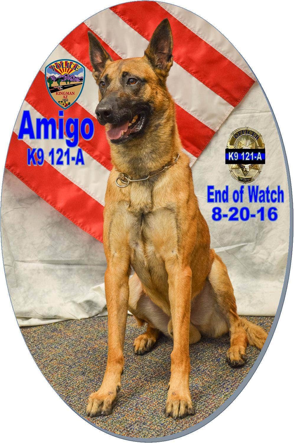 Police dog that searched for mountain hikers dies in hospital | Fox News Police dog that searched for mountain hikers dies in hospital | Fox News