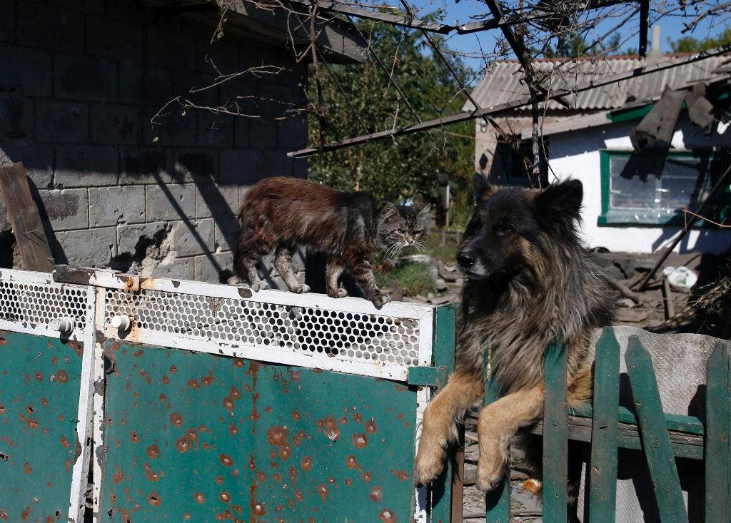 East Ukraine Cease Fire Appears To Largely Hold Despite Sporadic