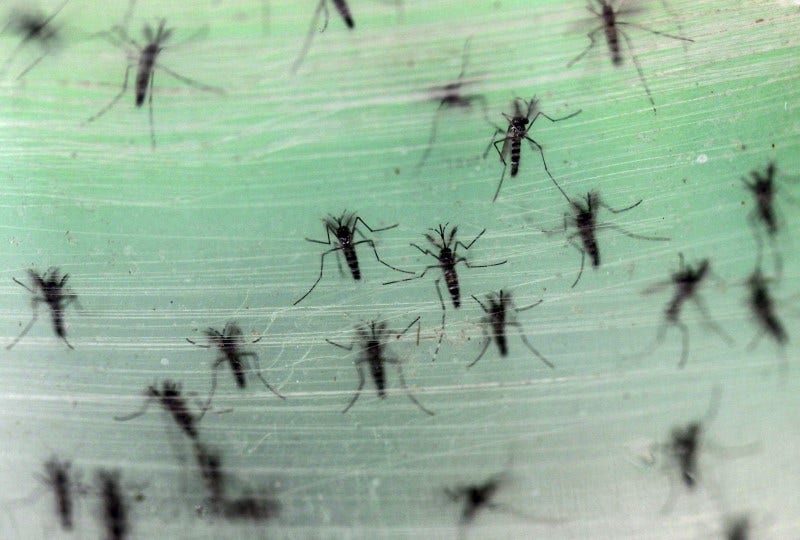 U.S. issues travel alert over Zika virus in Latin America, Caribbean ...