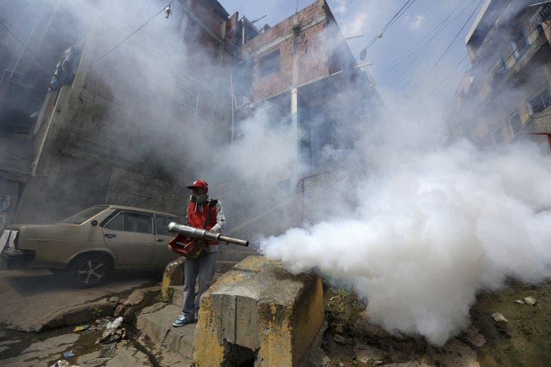 WHO declares Zika virus international emergency | Fox News