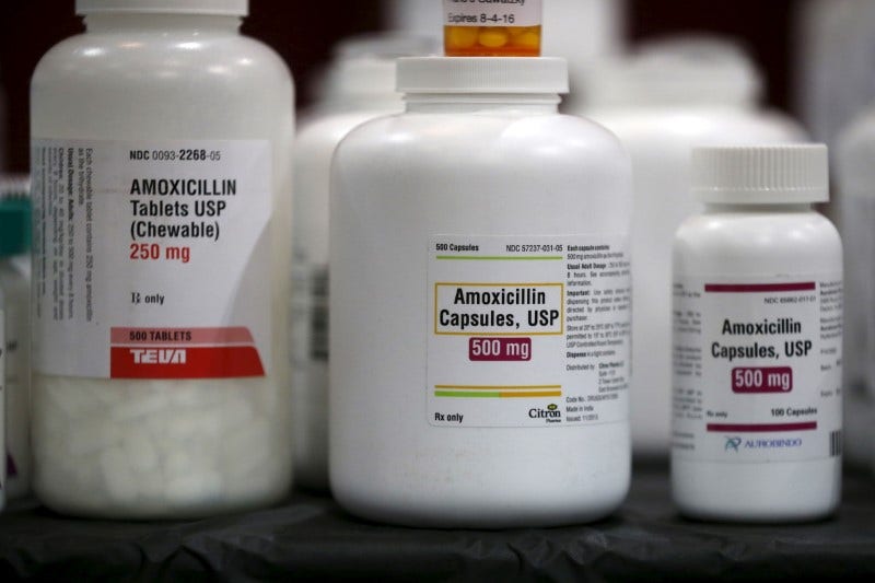 GOP doctor lawmakers warn amoxicillin shortage under Biden could ‘devastate’ healthcare system