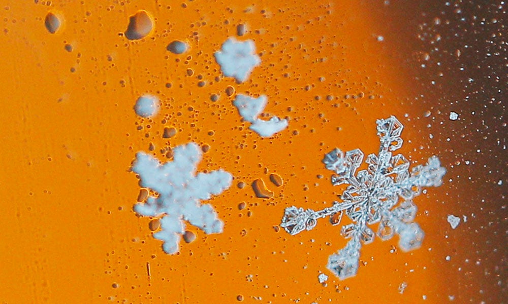 Snowflake Watch Safe words for safe spaces Fox News