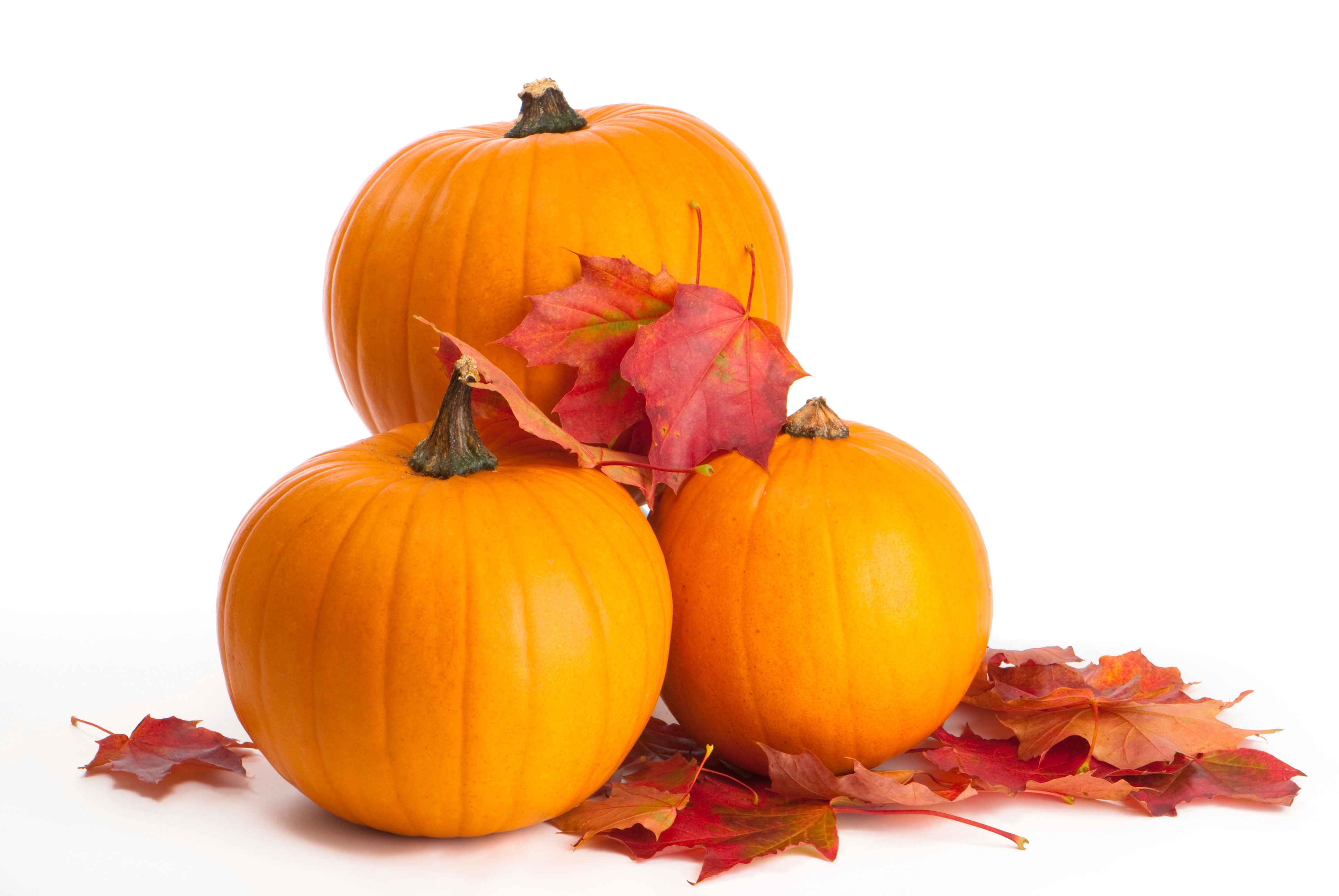 Pumpkin preparation tips — 'so smart!' — for Halloween and the fall season