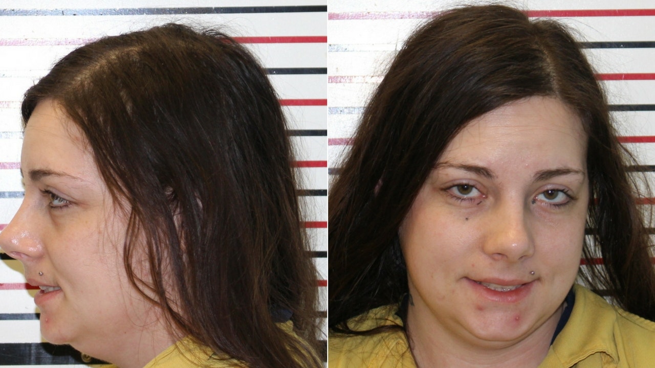 Ohio woman killed Chihuahua in oven because she believed exboyfriend