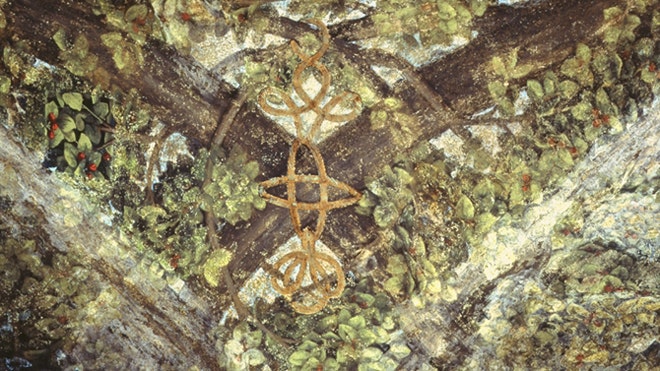 Lost da Vinci artwork unearthed beneath paint