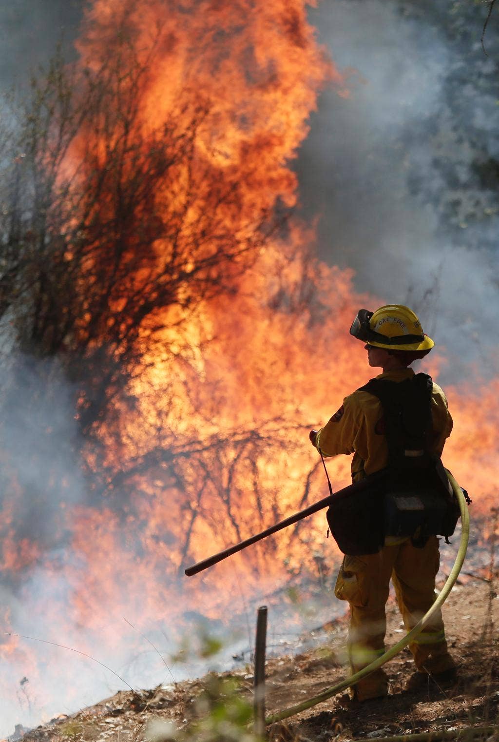 Kebakaran hutan di California Utara menjadi kebakaran terparah kedua di negara bagian ini pada tahun ini dengan jumlah korban lebih dari  juta