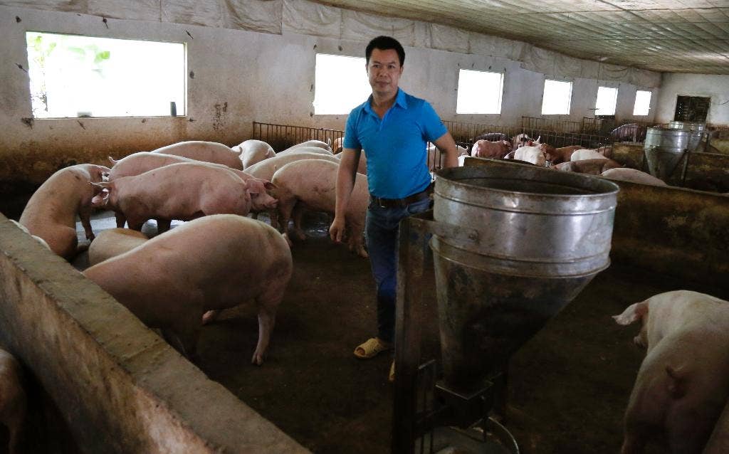 Vietnam menaruh daging babi pada menu sementara petani menghadapi, harga murah