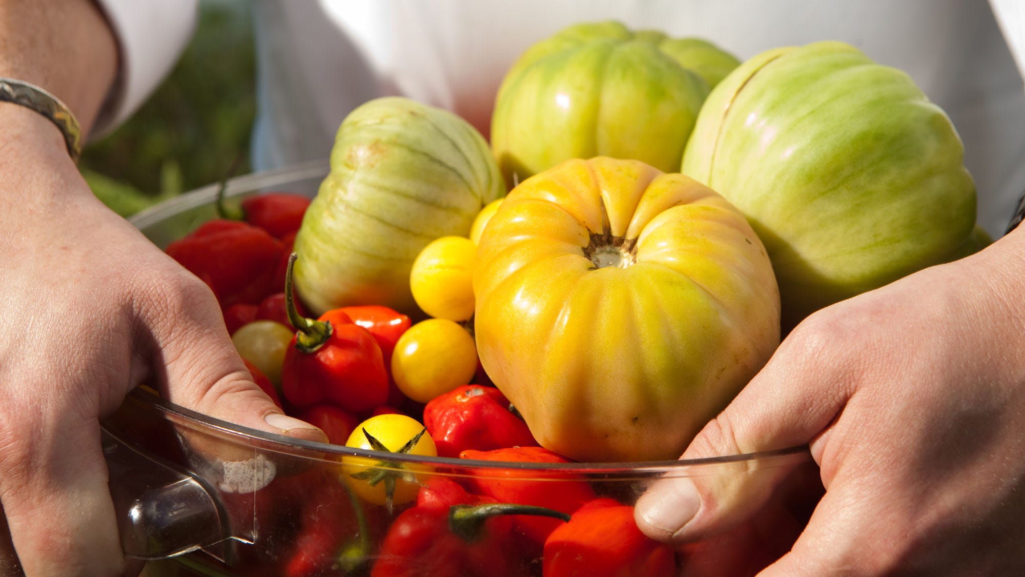 Poder Food Latin Powerfoods that will make you feel good | Fox News