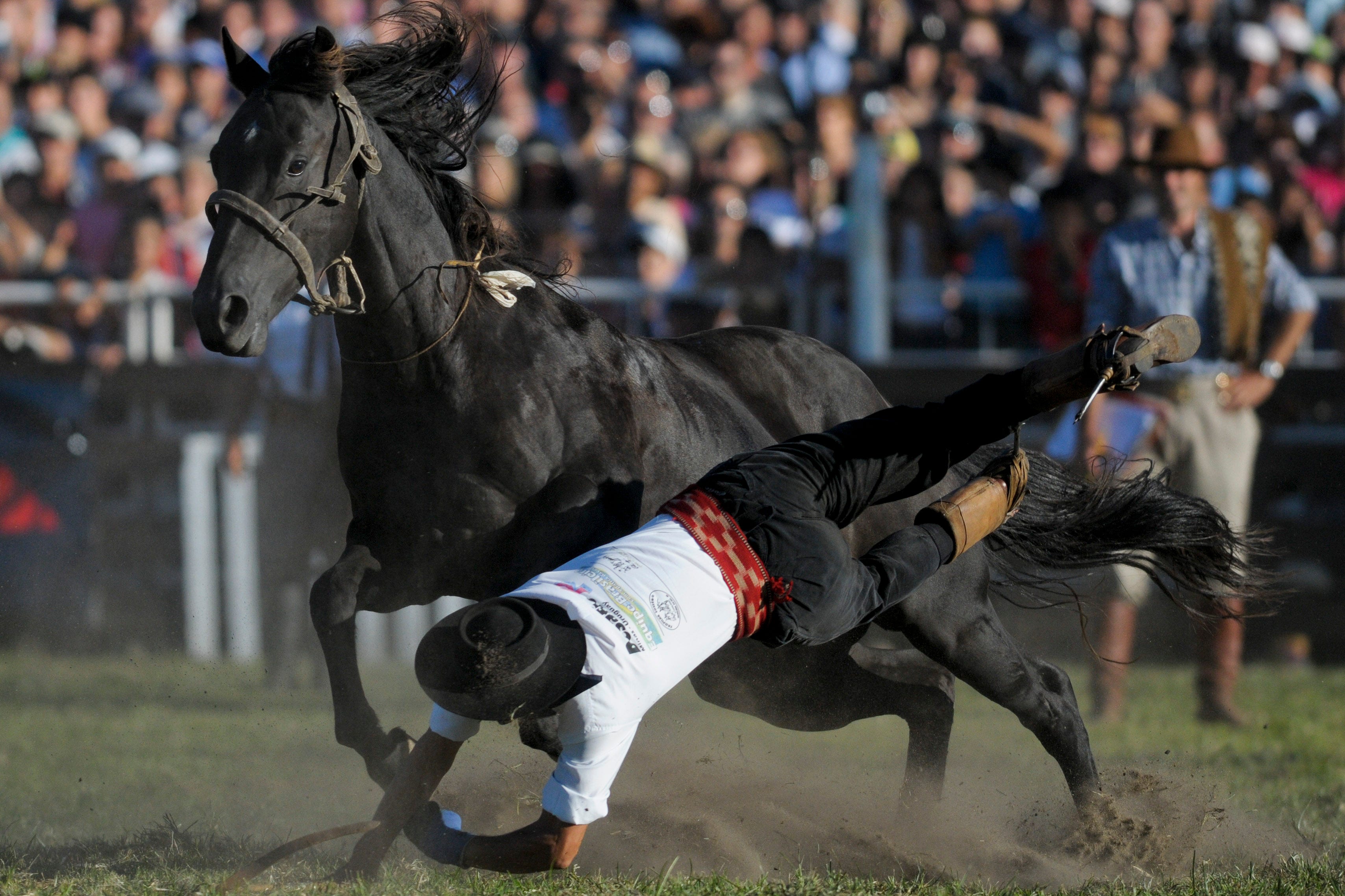 10-year-old Texas boy dies after horse falls on him during rodeo