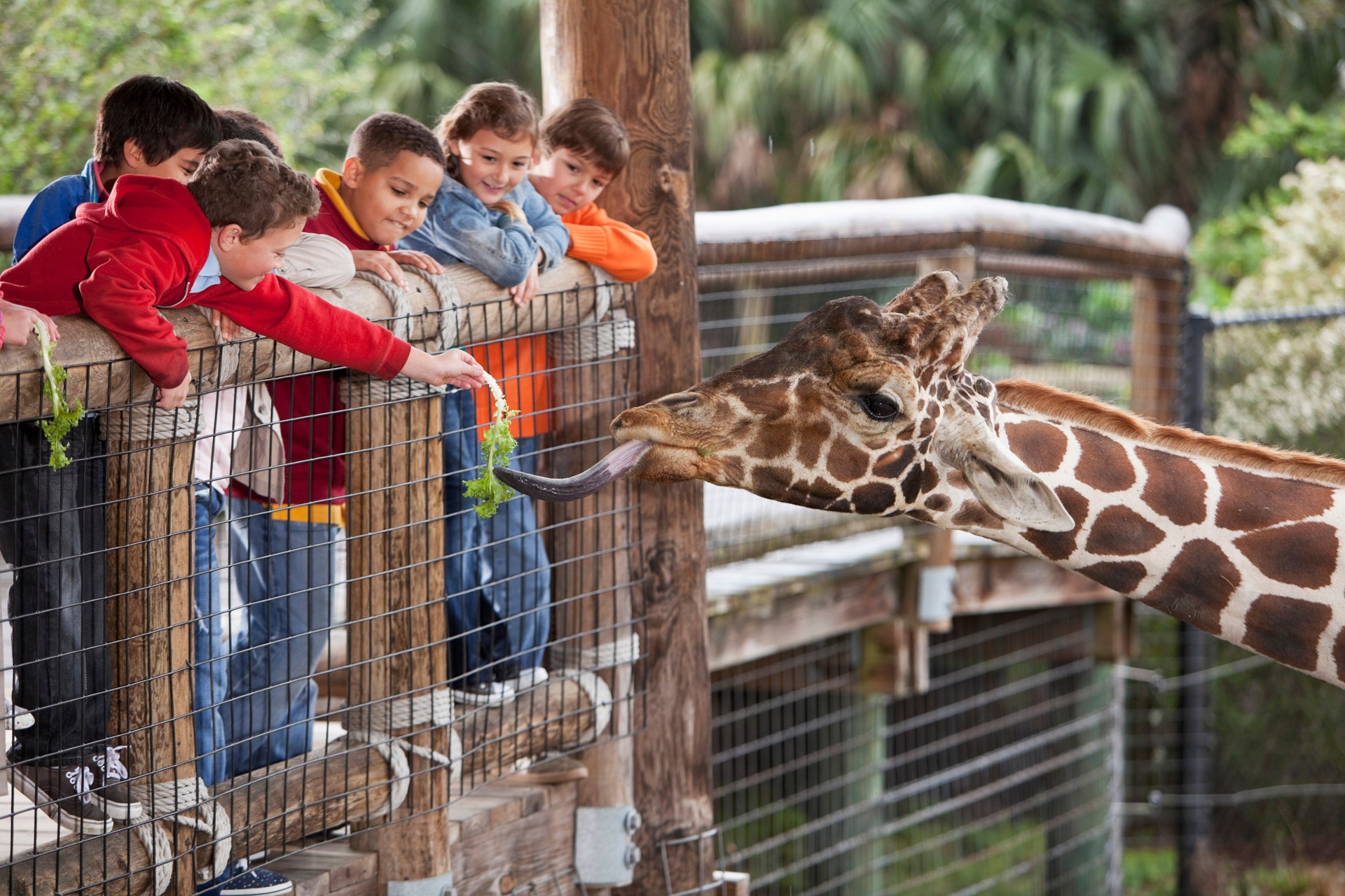 How Are Zoos Good For People