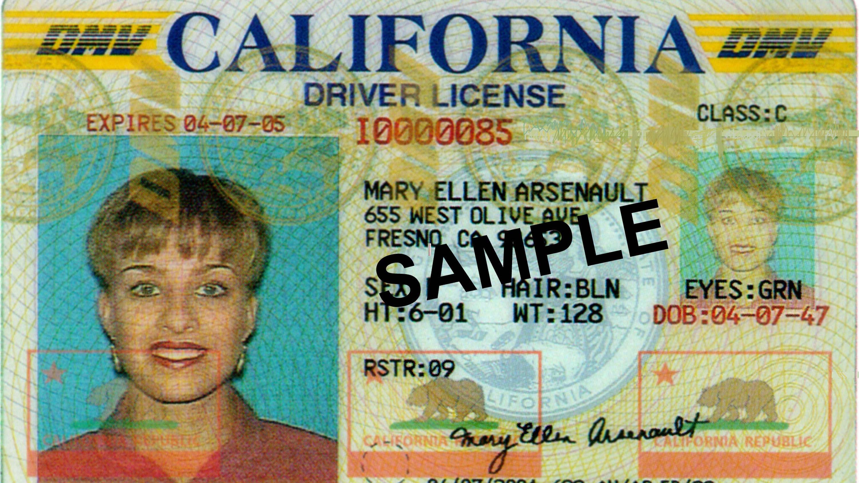 california drivers license picture front and back