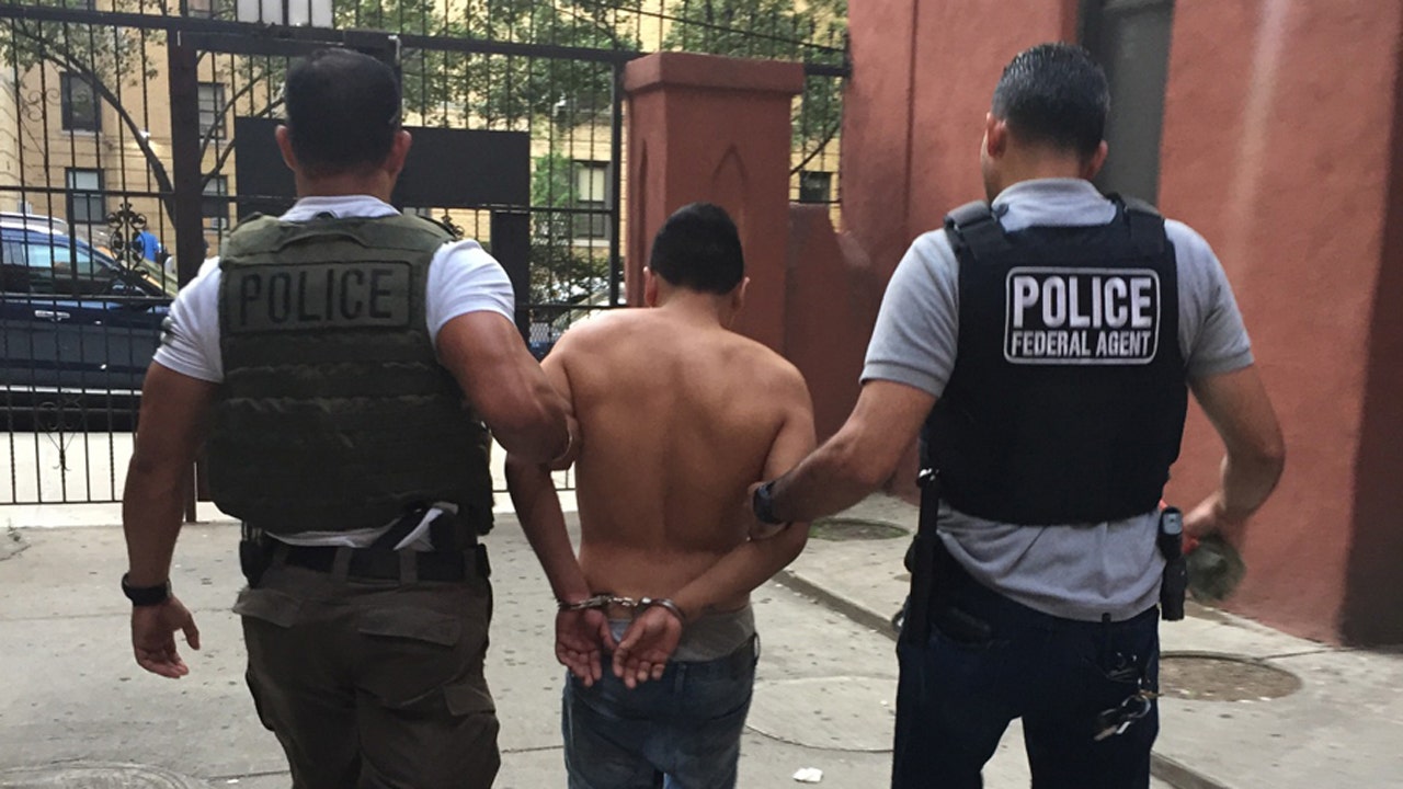 ICE arrests 114 in New York operation targeting fugitives, illegal ...