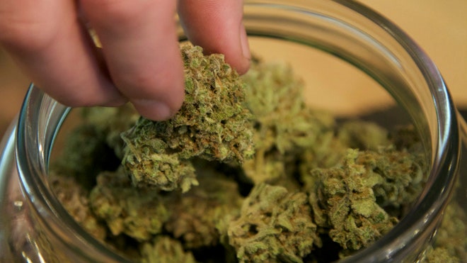 Medical marijuana may reduce painkiller-related deaths | Fox News