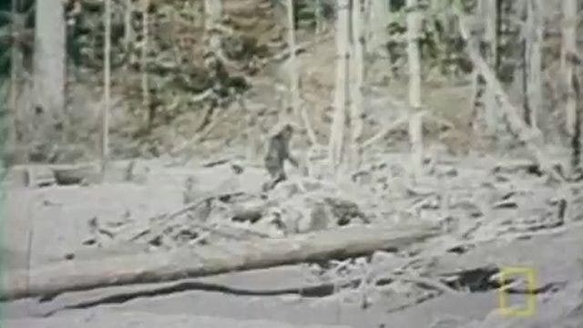11 most mystifying Bigfoot sightings