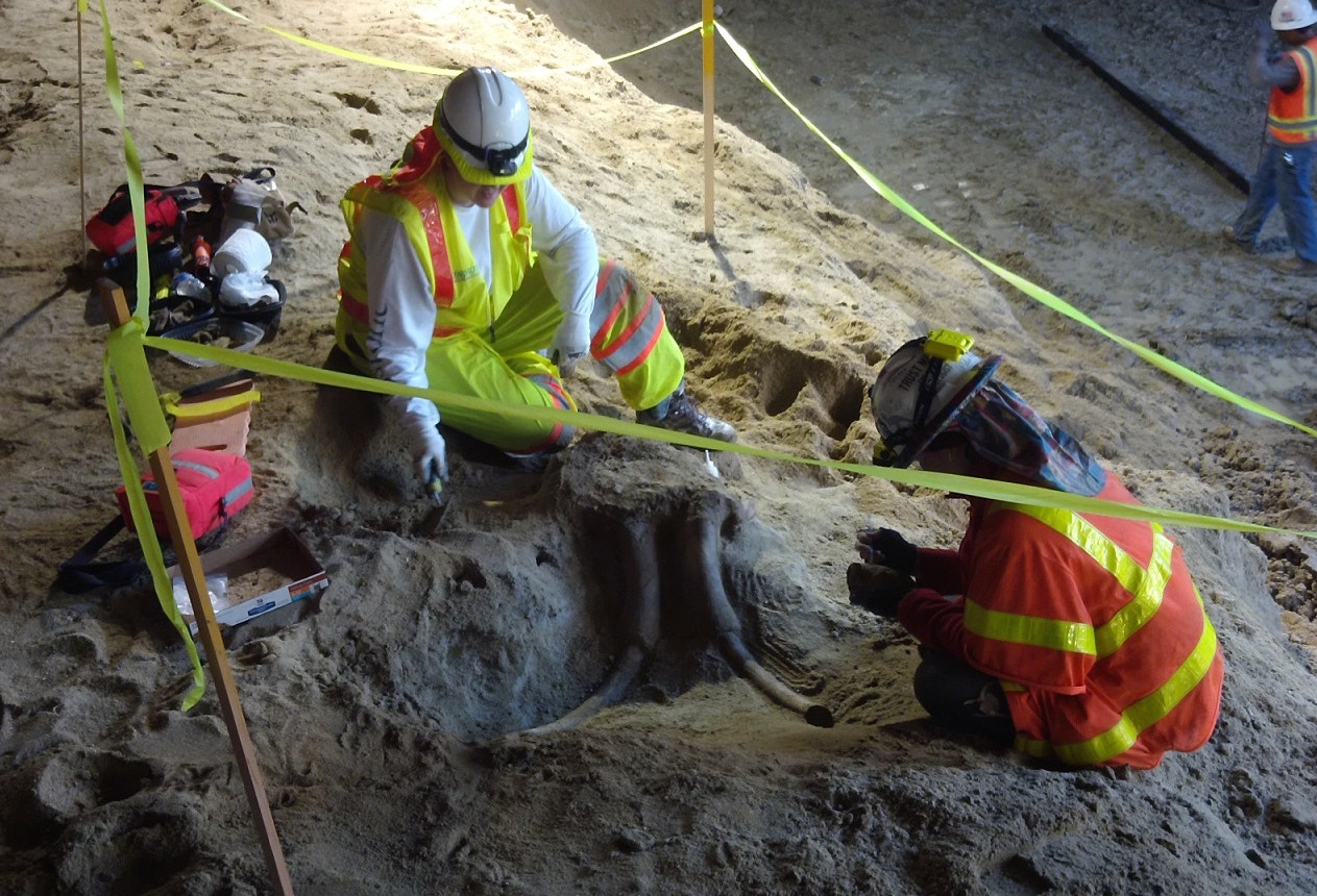 Mammoth fossils found at site of LA subway dig