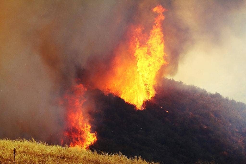 Kehidupan baru, kehancuran baru akibat kebakaran hutan di California Selatan