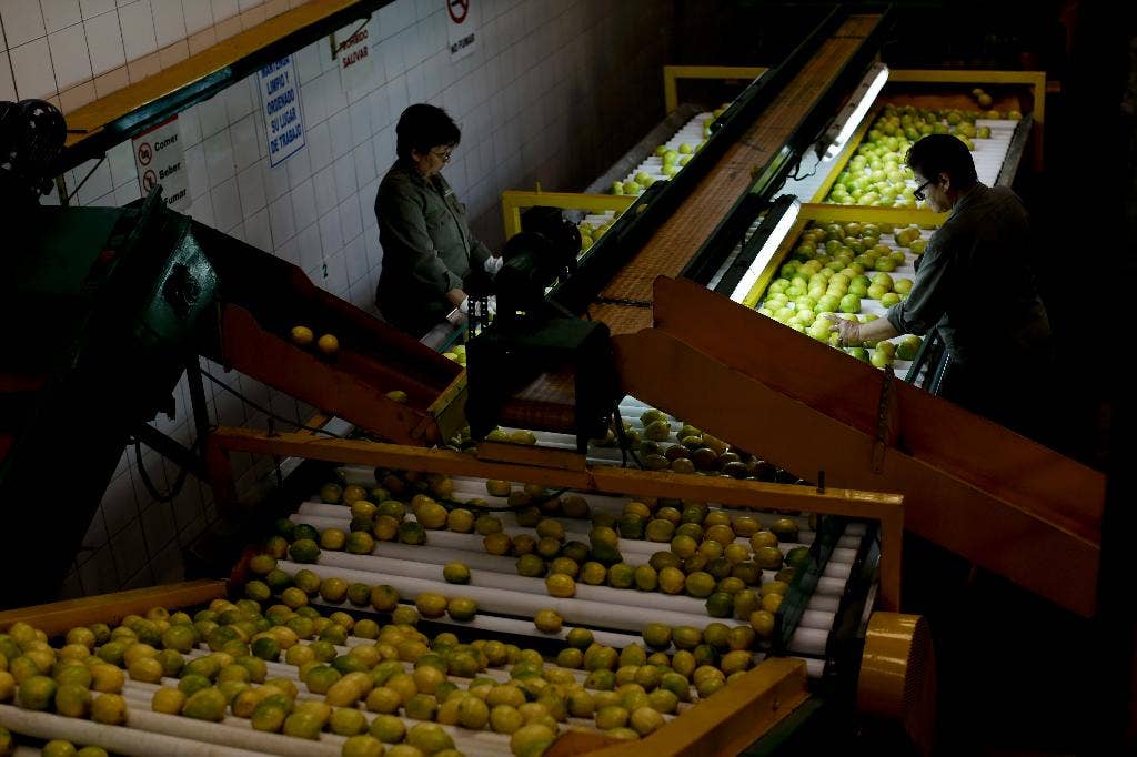 Lemon Argentina melarang proteksionisme Trump atau tindakan sanitasi?