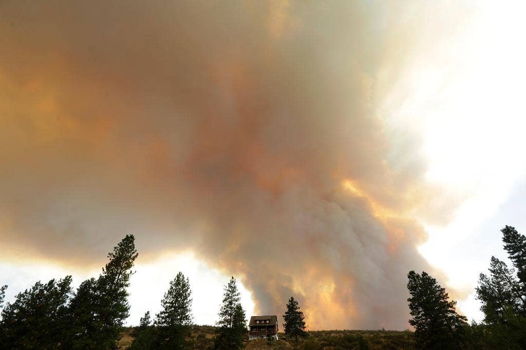 3 petugas pemadam kebakaran tewas, 3 hingga 4 lainnya terluka dalam kebakaran hutan yang berkobar di negara bagian Washington