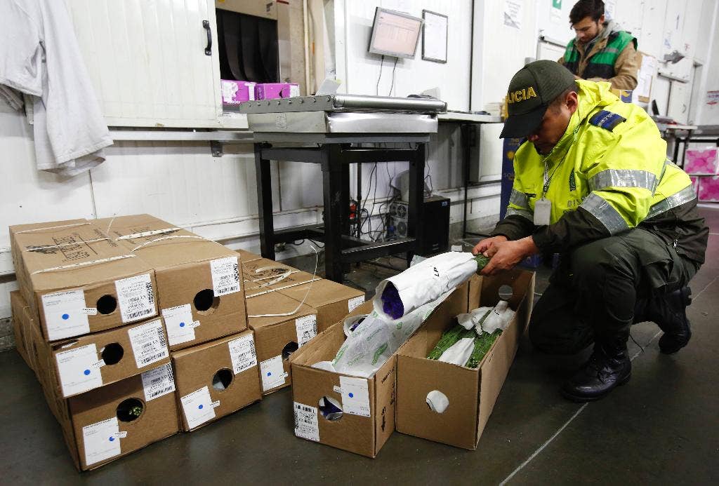 Kolombia menghentikan kokain agar tidak merusak bunga Hari Valentine