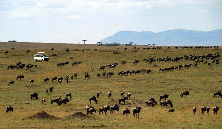 Sektor pariwisata Kenya bersiap menghadapi dampak serangan tersebut