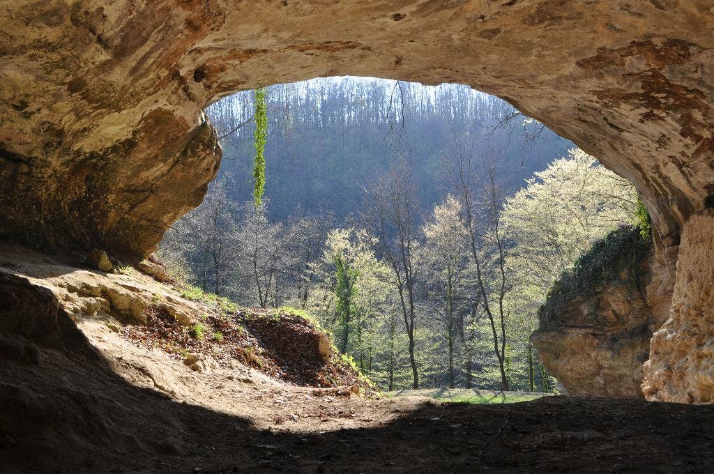 News :Virginia woman dies after falling 100 feet in cave in western portion of state