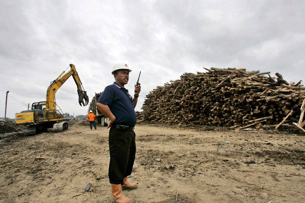 Indonesia Baru -Meou membangkitkan keraguan pada janji hutan aplikasi