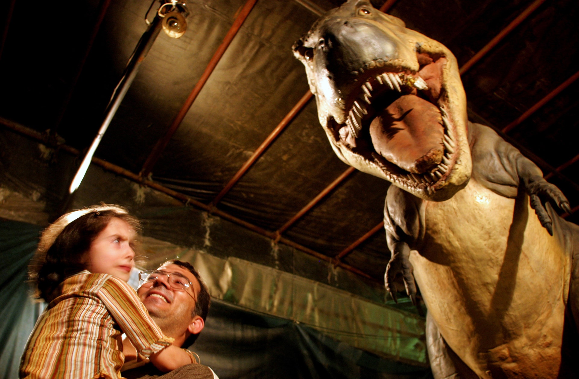 Jurassic Park' was a lie: T. Rex couldn't run fast, scientists say Fox News