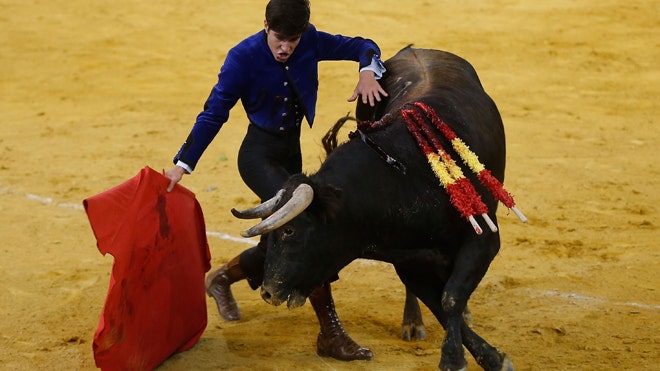 Colombian High Court Oks Bullfights In Bogotá But Toreros Continue Their Hunger Strike Fox News