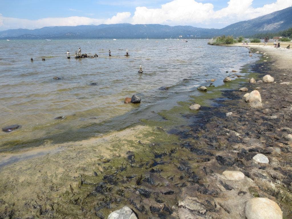 Researchers ask public for old photos of Lake Tahoe algae Fox News