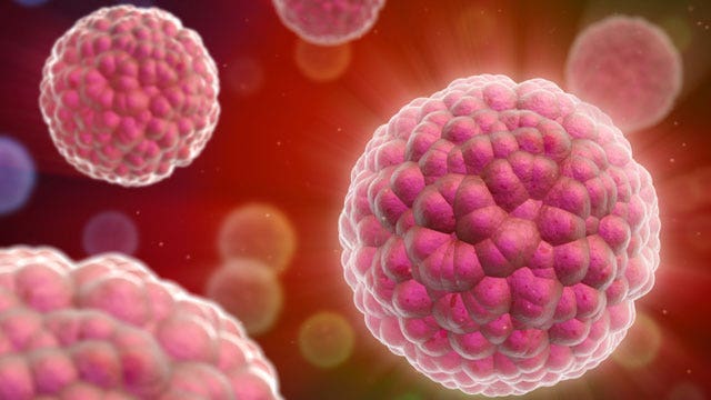 HPV tied to 3-fold greater risk for esophageal cancer | Fox News