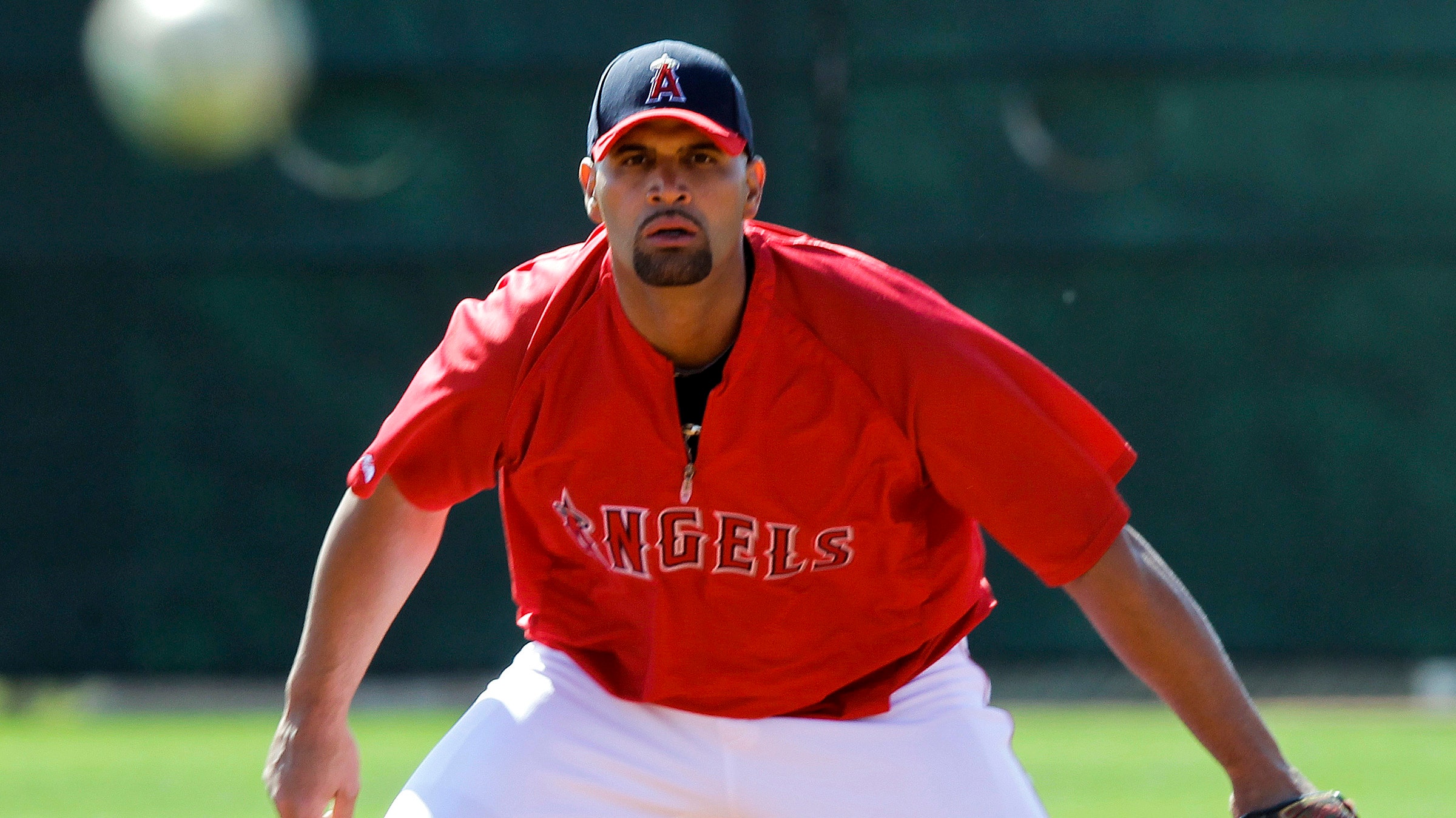 Albert Pujols Working Hard at Spring Training