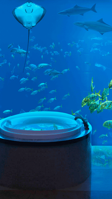 Atlantis-Dubai underwater suite bathroom