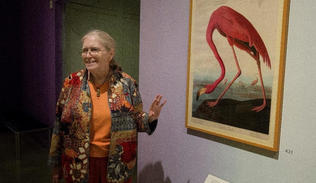 Semua burung dari portofolio karya agung Audubon melarikan diri di dinding HistoryMiami