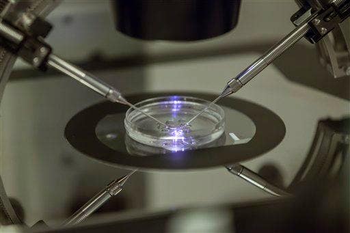 UK court says widower can use late wife’s frozen embryo for surrogate