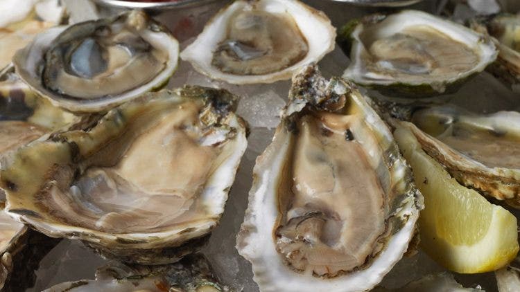 Restoran memikat pengunjung dengan kolaborasi makanan eksklusif