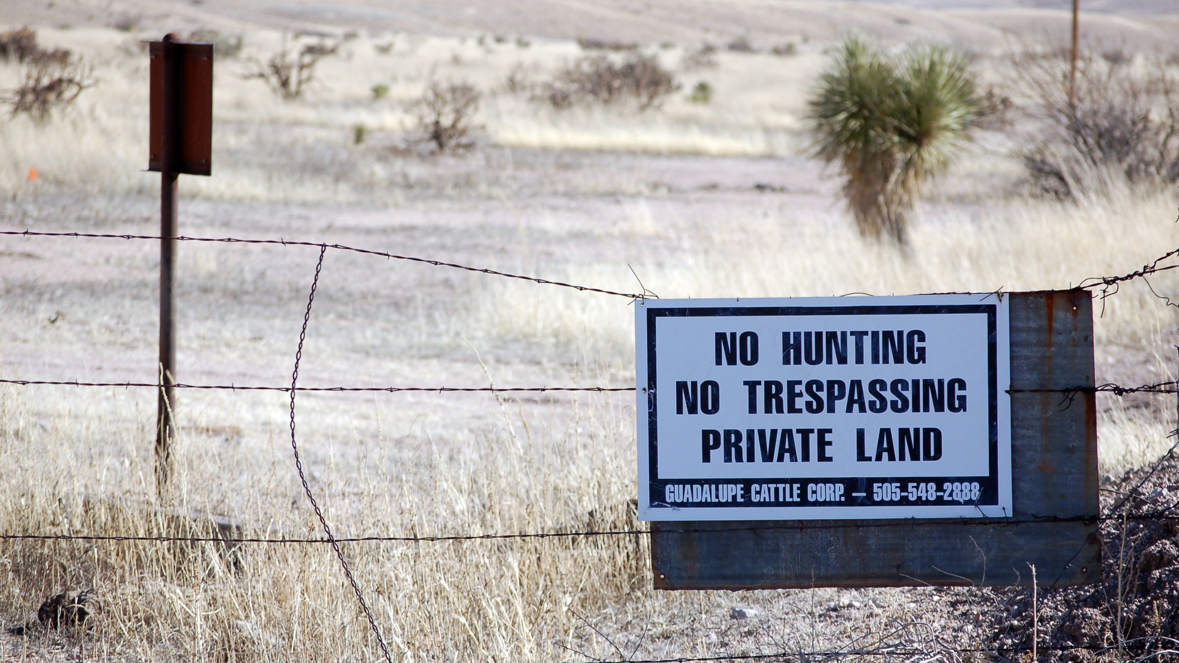 border patrol new mexico