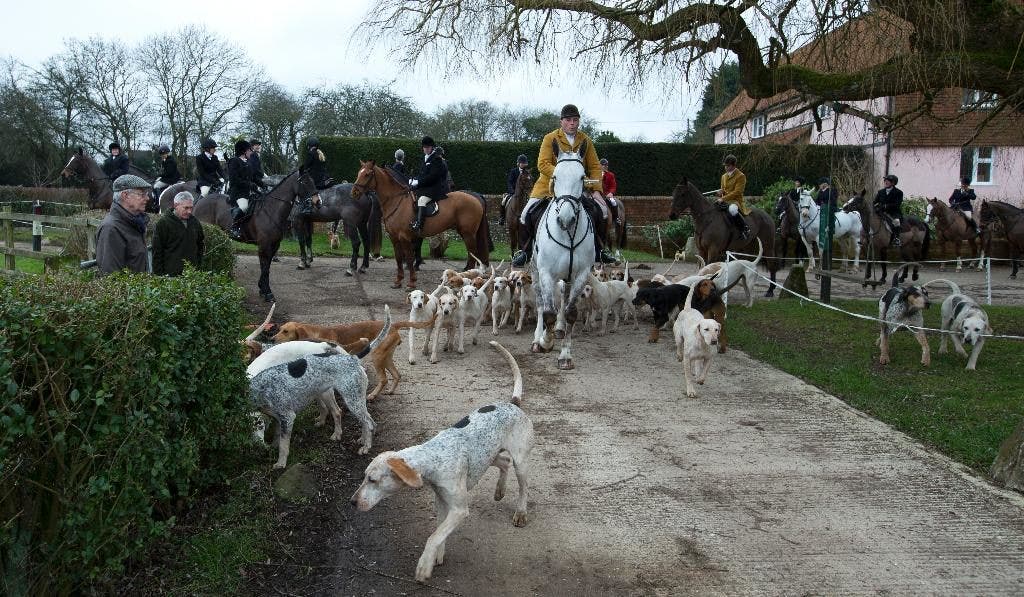 Fox Hunts Thrive In Britain A Decade After Ban But Class Tinged   Britain Fox Hunting 1 