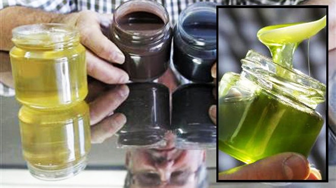 M&M-loving bees make blue and green honey