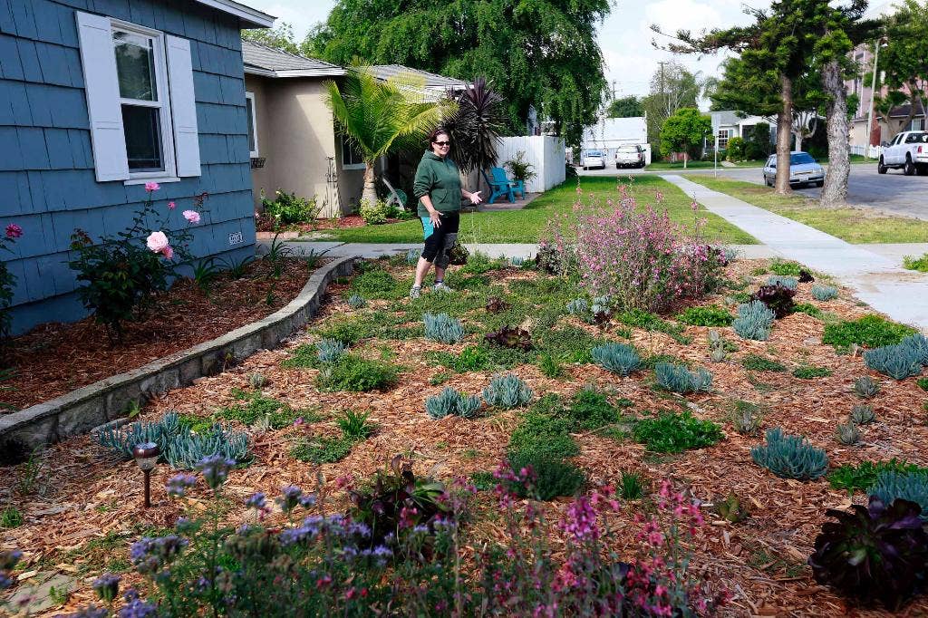 california-cash-for-grass-program-so-popular-amid-drought-that-it-may