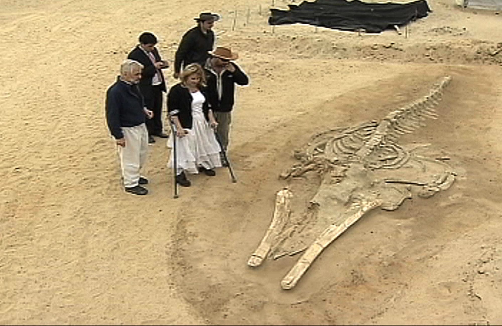 Mysterious Whale Graveyard Unearthed in Chilean Desert