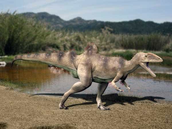 19 crazy critters from the cretaceous