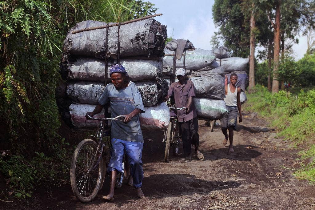 Kongo bersumpah akan melakukan serangan untuk mengusir pemberontak Hutu Rwanda, 20 tahun setelah para pelaku genosida tiba