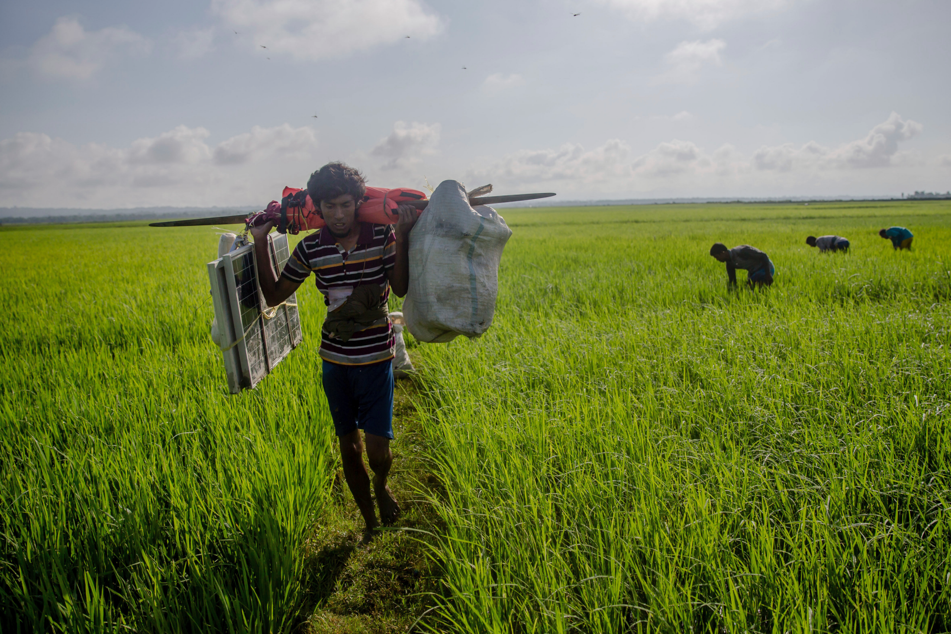 Pelarian pria Rohingya dari Myanmar menyoroti kelegaan dan penyesalan